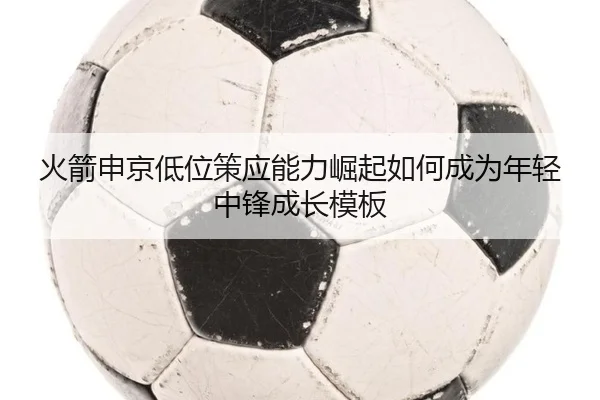 火箭申京低位策应能力崛起如何成为年轻中锋成长模板